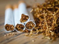 Krivična prijava protiv muškarca kod koga je pronađeno 300 kg rezanog duvana