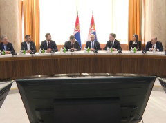 Vučević se sastao sa delegacijom Srba iz Beča