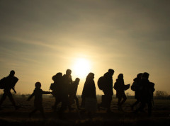 Bugarske vlasti uz podršku Evropola uhapsile 18 švercera migranata iz Sirije