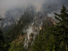 Izbio požar na grčkom ostrvu Salamina, gašenje u toku