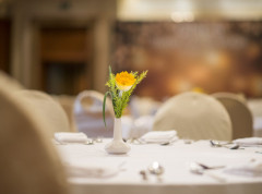 Zatvorena tri ugostiteljska objekta zbog izdavanja falsifikovanih računa