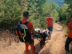 Spasioci Gorske službe spasavanja iz Niša spasili povređenu turistkinju