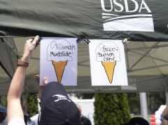 Proizvođači sladoleda izbaciće veštačke boje iz upotrebe