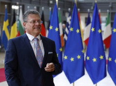 Carinski sporazum sa SAD je bolji nego trgovinski rat