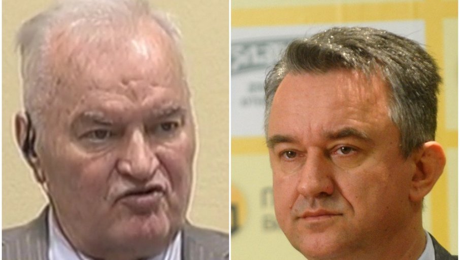 Drako Mladić o položaju srpskih haških osuđenika