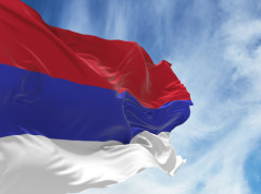 Vanja Bjelica Prutina morala je biti izuzeta iz glasanja kao član CiK BiH