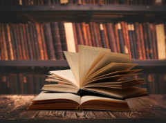 Mirjana Bobić Mojsilović: Roman Ivana Tokina ima jedinstvenu heroinu