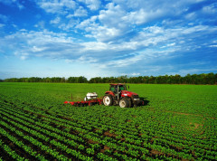 Poljoprivrednicima ove godine isplaćeno više 90 milijardi dinara