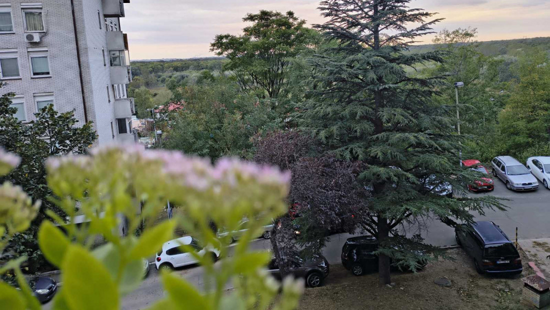 Potpuno razvedravanje i stabilnije vreme: Temperature do kraja sedmice iznad proseka