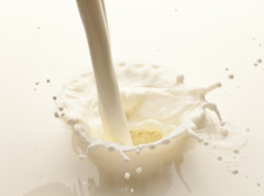 Ministarstvo poljoprivrede zaustavilo prosipanje mleka