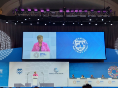 Tabaković učestvovala na sastanku Međunarodnog monetarnog i finansijskog komiteta