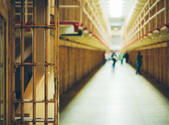 Sud u Prištini odredio pritvor do 30 dana Stefanu Raduloviću