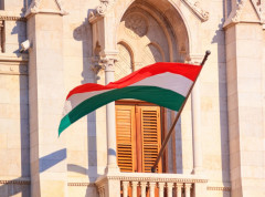 Mađarska stranka Tisa nominovala bivšeg predsednika Vrhovnog suda za predsednika