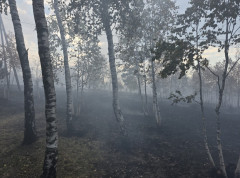 Lokalizovan požar u Ramićima kod Banjaluke